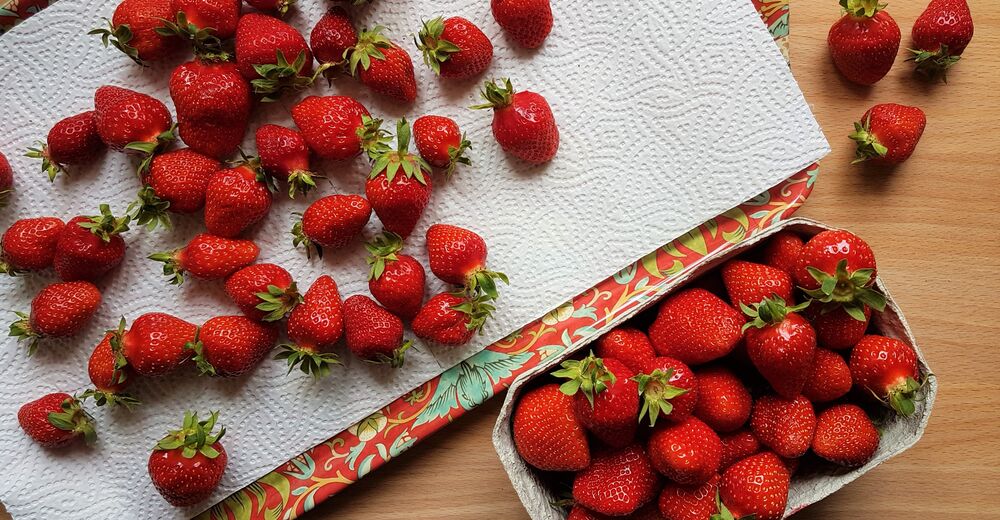 Erdbeeren auf Küchenpapier